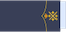 General del aire insignia