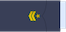 Suboficial mayor insignia