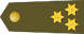 Capitán insignia