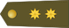 Teniente coronel insignia