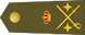 General de división insignia