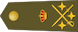 Teniente general insignia