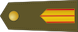Brigada insignia
