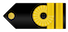 Teniente de navío insignia