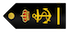 Alumno de 1º insignia