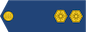 Nooremleitnant insignia