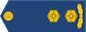 Kolonelleitnant insignia