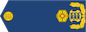 Brigaadikindral insignia