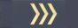 Vanemveebel insignia