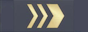 Ülemveebel insignia