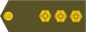 Leitnant insignia