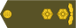 Kolonelleitnant insignia