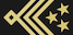 Ülemveebel insignia