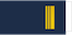 Yliluutnantti / Premiärlöjtnant insignia