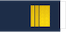 Kenraaliluutnantti / Generallöjtnant insignia