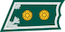 Luutnantti / Löjtnant insignia