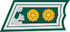 Everstiluutnantti / Överstelöjtnant insignia