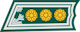 Eversti / Överste insignia