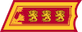 Kenraaliluutnantti / Generallöjtnant insignia