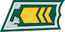 Sotilasmestari / Militärmästare insignia