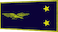 Général de brigade aérienne insignia
