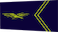 Élève-officier insignia