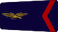 Aviateur 1 e classe insignia