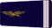 Adjudant insignia
