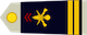 Lieutenant insignia