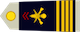 Commandant insignia