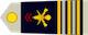 Lieutenant-colonel insignia
