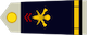 Aspirant insignia