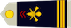 Major insignia