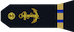 Aspirant insignia