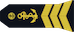 Maître insignia