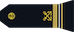Major insignia