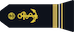 Maître principal insignia