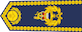 Air vice-marshal insignia