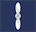 Air specialist (class 2) insignia