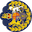 Warrant officer insignia