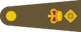 Lieutenant colonel insignia