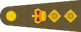 Colonel insignia