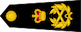 Captain General Royal Marines insignia