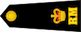 Major insignia