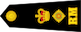 Lieutenant colonel insignia