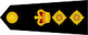 Colonel insignia