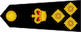 Brigadier insignia