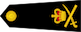 Lieutenant-general insignia