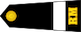 Officer cadet insignia