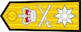Commodore insignia